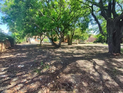 Chácara, 3 quartos - Foto 1