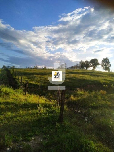 Sítio, 20987 m² - Foto 4