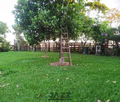 Chácara, 3 quartos - Foto 3