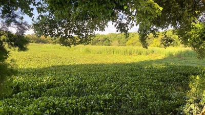 Terreno, 90 m² - Foto 4