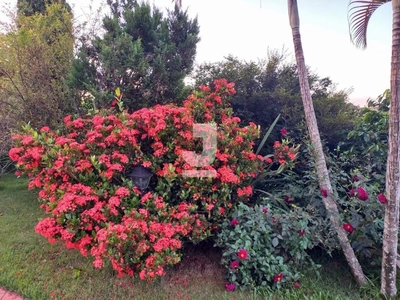 Chácara, 3 quartos - Foto 4