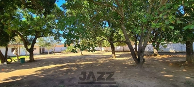 Chácara, 4 quartos - Foto 4