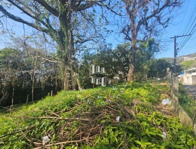 Terreno, 1750 m² - Foto 3