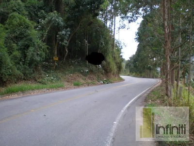 Terreno, 8 hectares - Foto 4