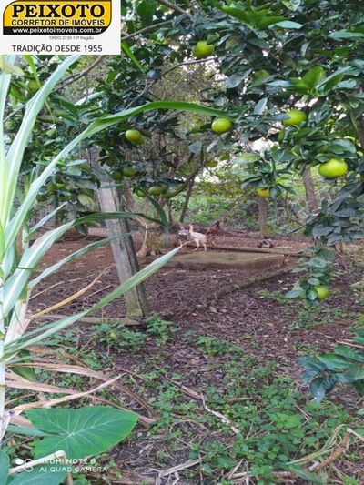 Terreno, 2800 m² - Foto 2