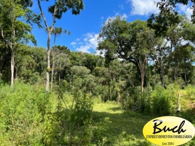 Chácara, 2 quartos - Foto 4