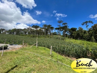 Chácara, 2 quartos - Foto 3