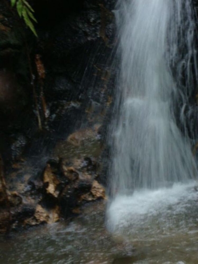 Sítio, 12 hectares - Foto 2