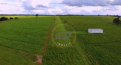 Fazenda-Sítio-Chácara, 58 hectares - Foto 2