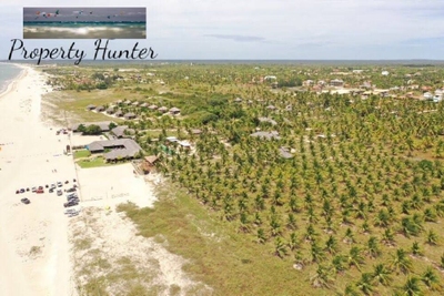 Terreno, 1 hectares - Foto 4