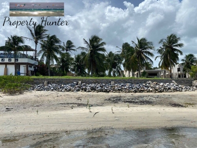 Terreno, 3500 m² - Foto 3