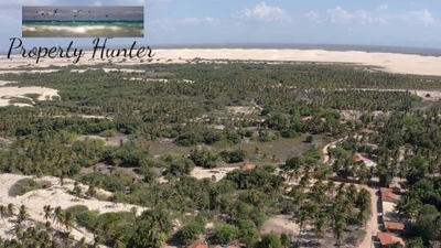 Terreno, 8000 m² - Foto 1