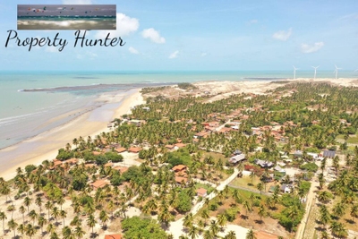 Terreno, 6300 m² - Foto 5