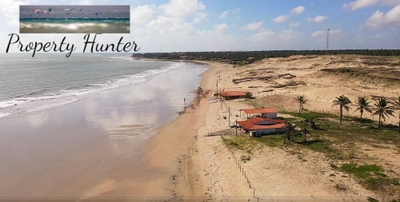 Terreno, 4800 m² - Foto 1