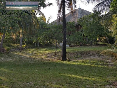 Terreno, 1200 m² - Foto 3