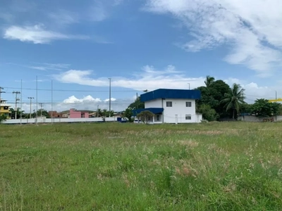 Depósito-Galpão - Foto 5