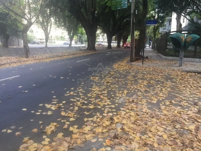 Apartamento, 2 quartos, 82 m² - Foto 2