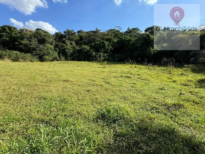 Terreno, 6 hectares - Foto 4