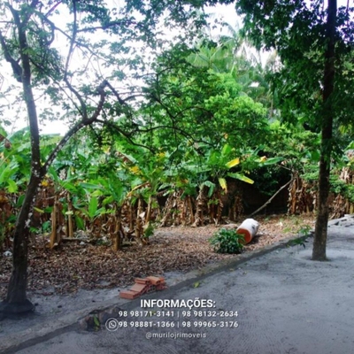 Chácara, 4500 m² - Foto 2