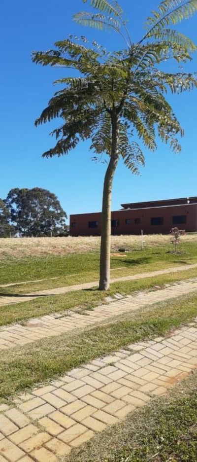 Terreno, 1000 m² - Foto 3