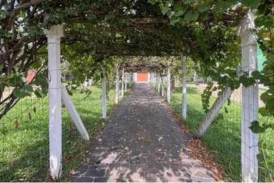 Terreno, 990 m² - Foto 2