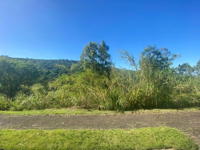 Terreno, 1005 m² - Foto 5