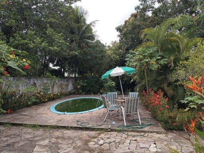 Chácara, 3 quartos, 1000 m² - Foto 4