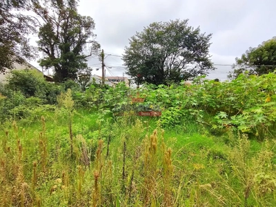 Terreno, 2484 m² - Foto 4