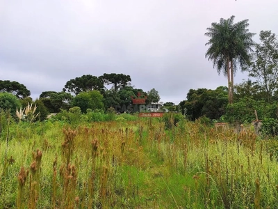 Terreno, 2484 m² - Foto 5