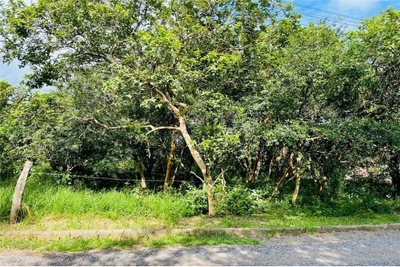 Loteamento e Condomínio - Foto 4