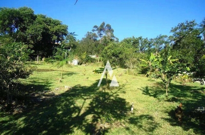 Sítio, 1 quarto, 2631 m² - Foto 1