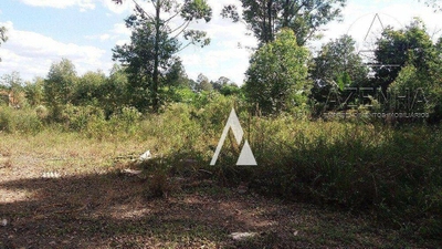 Terreno, 3700 m² - Foto 4