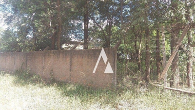 Terreno, 3700 m² - Foto 4