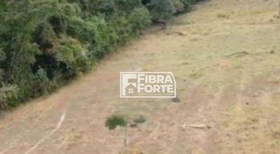 Terreno, 2 hectares - Foto 5