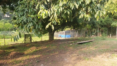 Chácara, 1 quarto, 5656 m² - Foto 4