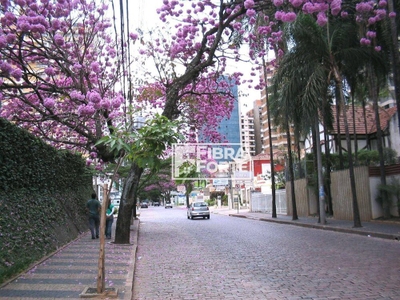 Casa, 4 quartos, 299 m² - Foto 4