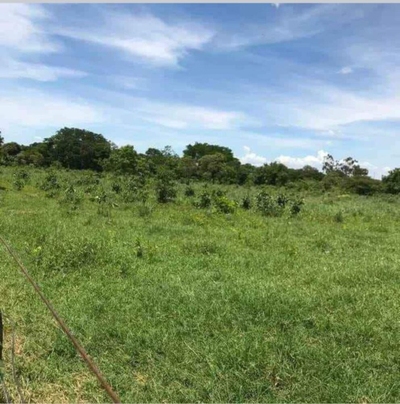 Fazenda-Sítio-Chácara - Foto 3