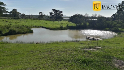 Sítio, 2 quartos, 7800 m² - Foto 3