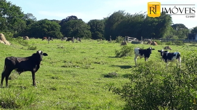 Sítio, 2 quartos, 7800 m² - Foto 4