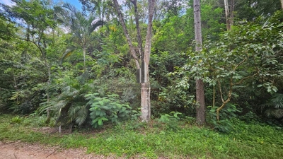 Terreno, 1954 m² - Foto 5