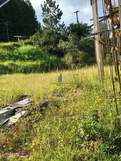 Terreno, 3500 m² - Foto 2