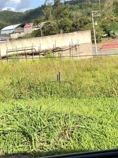 Terreno, 3500 m² - Foto 4