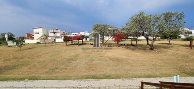 Terreno, 300 m² - Foto 4