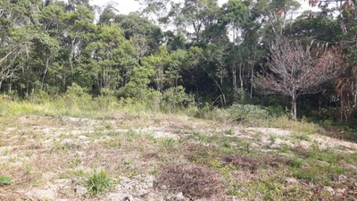 Sítio, 10 hectares - Foto 4