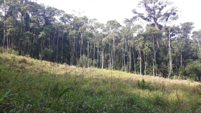 Sítio, 10 hectares - Foto 1