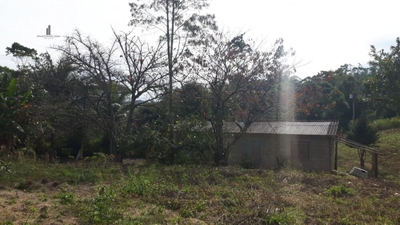 Sítio, 10 hectares - Foto 3