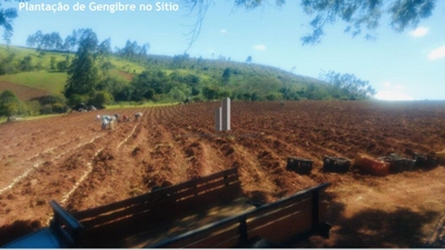 Sítio, 7 hectares - Foto 2