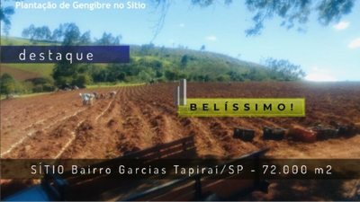 Sítio, 7 hectares - Foto 1