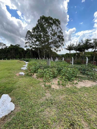 Chácara, 3 quartos, 3412 m² - Foto 2