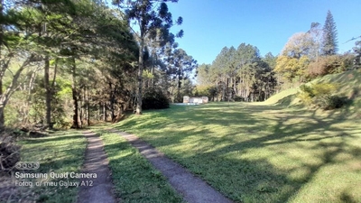 Sítio, 7 hectares - Foto 2